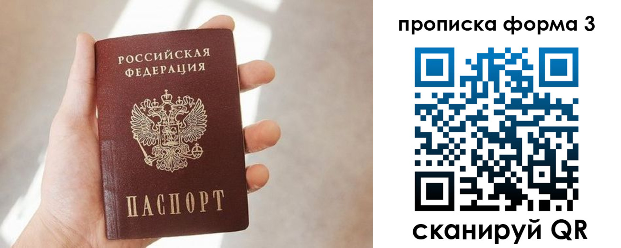 прописка для школы в Струнино